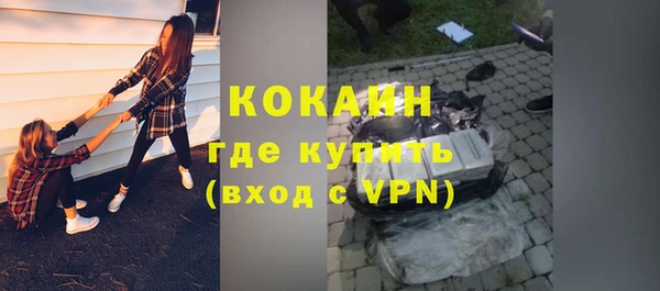 стаф Алзамай