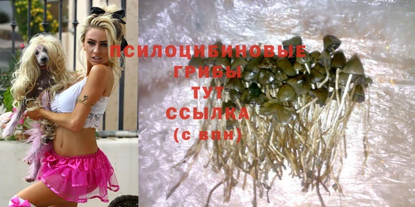 mdpv Алексин