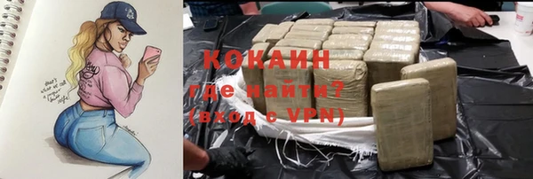 стаф Алзамай