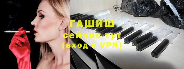 стаф Алзамай