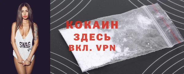 стаф Алзамай