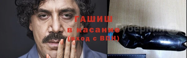 стаф Алзамай