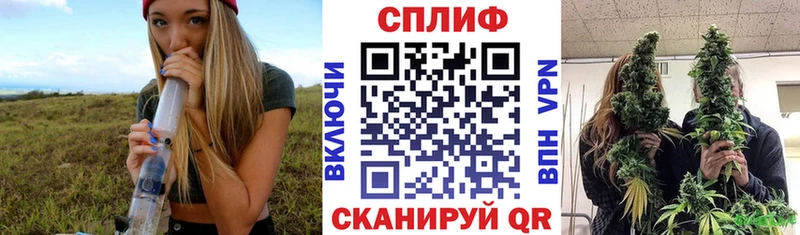 Каннабис Bruce Banner  закладки  Тайшет 